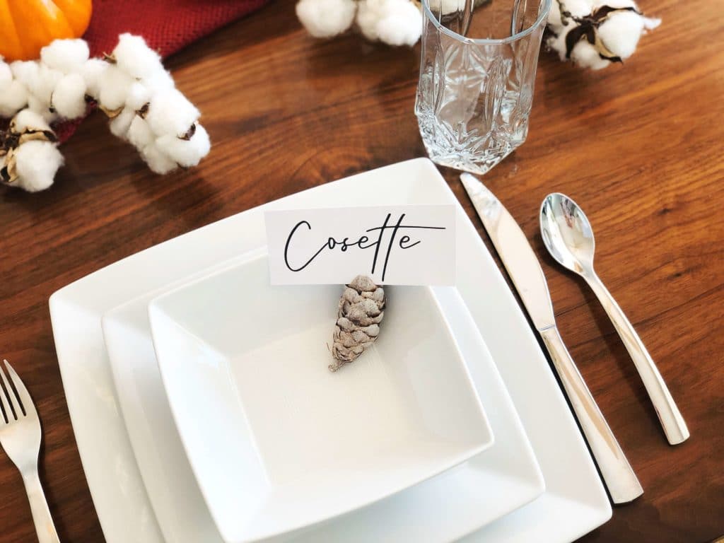 Easy Pinecone Place setting
