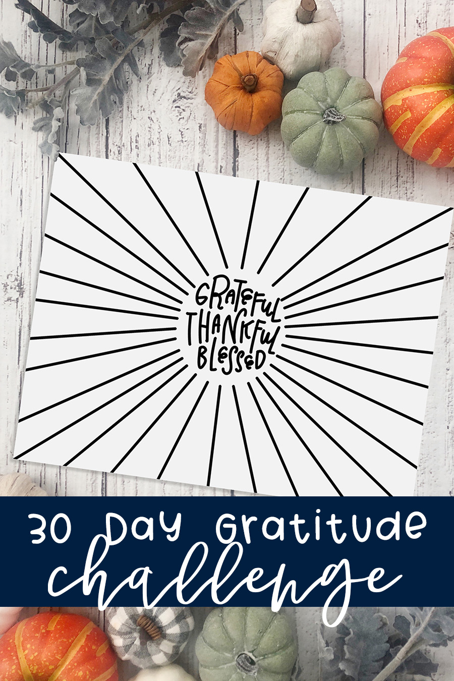 30 Day Gratitude Challenge Pin